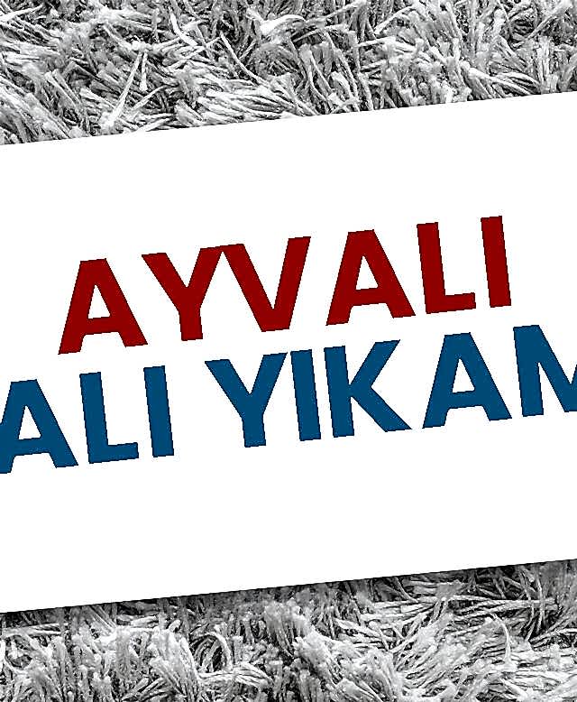 Ayvalı Halı Yıkama