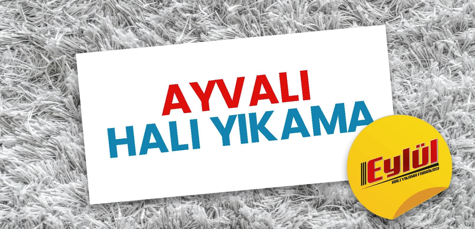 Ayvalı Halı Yıkama